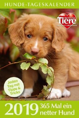 Hunde-Tageskalender 2019
