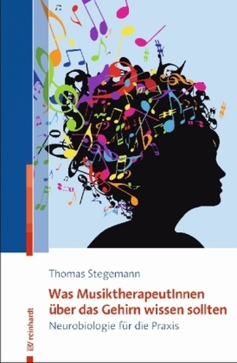 Was MusiktherapeutInnen über das Gehirn wissen sollten