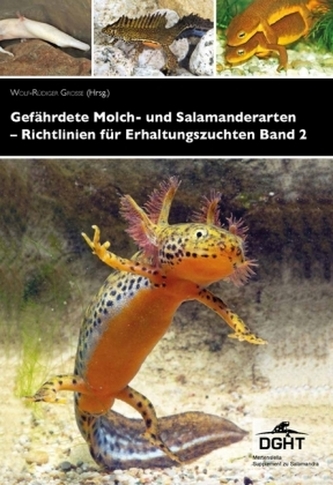 Gefährdete Molch- und Salamanderarten der Welt - Richtlinien für Erhaltungszuchten. Bd.2 Gefährdete Molch- und Salamanderarten der Welt - Richtlinien für Erhaltungszuchten. Bd.2