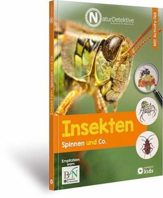 Insekten, Spinnen und Co.