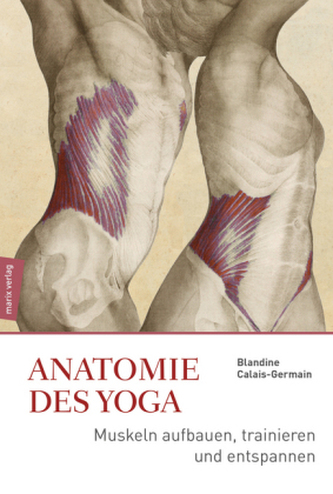 Anatomie im Yoga Anatomie im Yoga