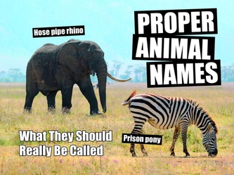Proper Animal Names