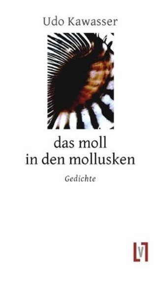 das moll in den mollusken