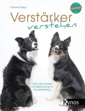 Verstärker verstehen Verstärker verstehen
