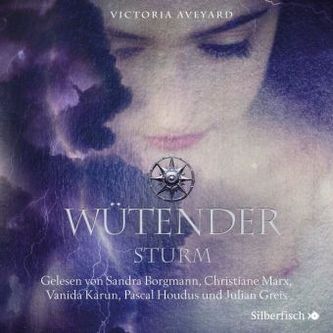 Die Farben des Blutes 4: Wütender Sturm