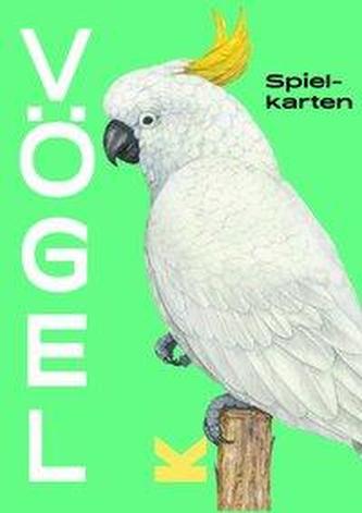 Vögel