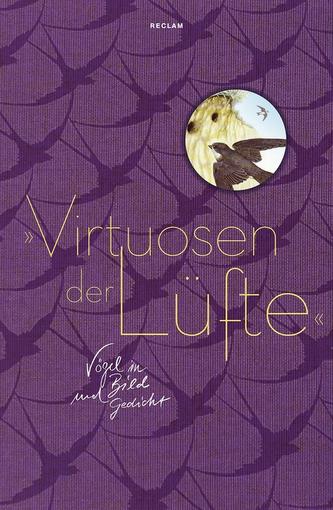 »Virtuosen der Lüfte«