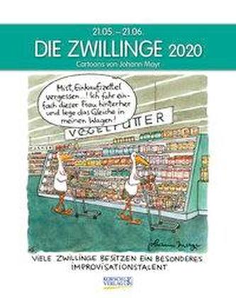 Zwillinge 2020