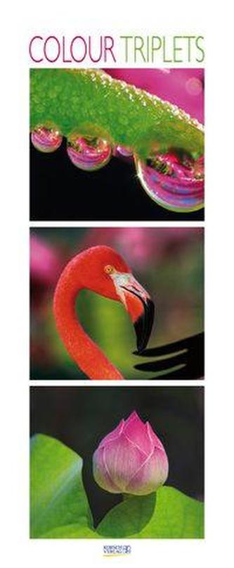 Colour Triplets 2020