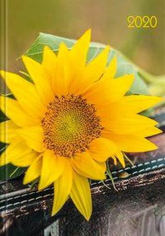 Lady-Timer Sonnenblume 2020