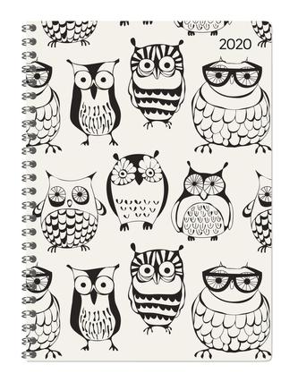 Ladytimer Ringbuch Owls 2020