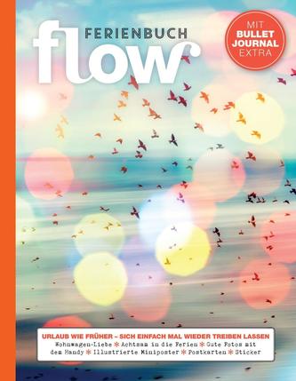 Flow Ferienbuch Band 6
