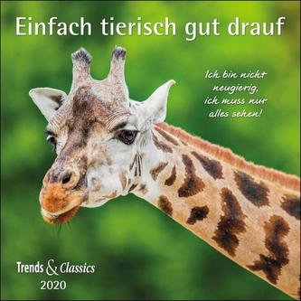 Einfach tierisch gut drauf 2020 - Broschürenkalender - Wandkalender - mit herausnehmbarem Poster