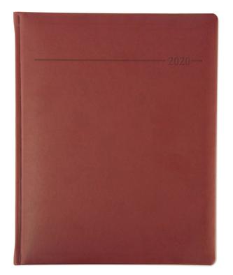 Manager-Timer Tucson rot 2020