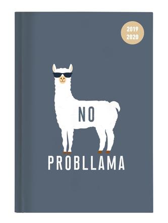 Collegetimer Llama 2019/2020 - Lama - Schülerkalender A6 (10 x 15)