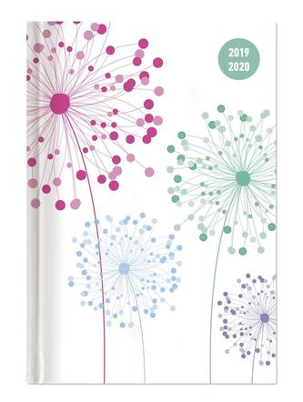 Collegetimer A6 Woche Blowballs 2019/2020