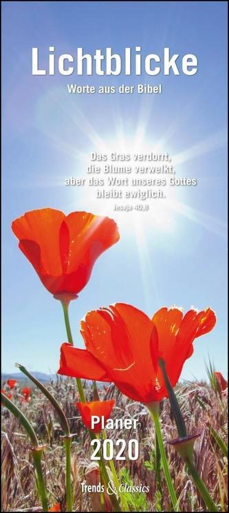 Lichtblicke Planer 2020 - Wandkalender mit 3 Spalten