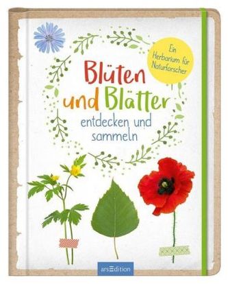 Blüten und Blätter entdecken und sammeln