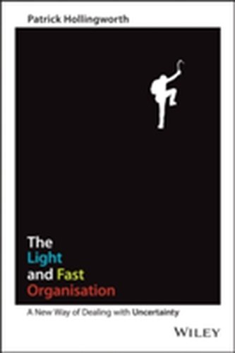The Light and Fast Organisation