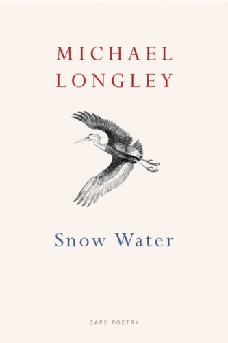 Snow Water