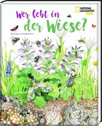 Wer lebt in der Wiese