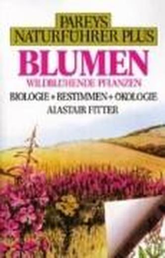 La première gorgée de bière