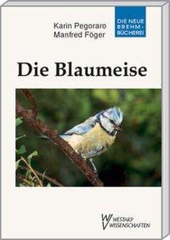 Die Blaumeise