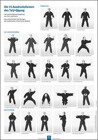 Die 15 Ausdrucksformen des Taiji Qigong Poster