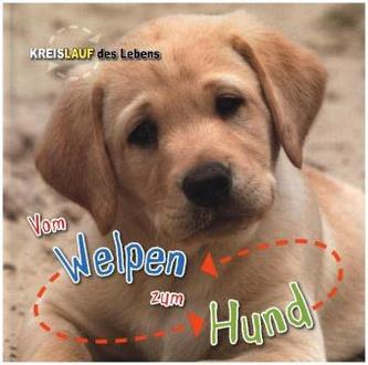 Vom Welpen zum Hund