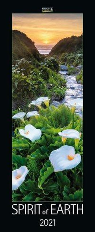 Spirit of Earth 2021