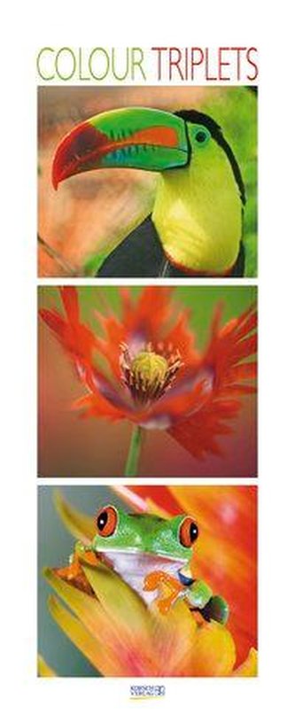 Colour Triplets 2021