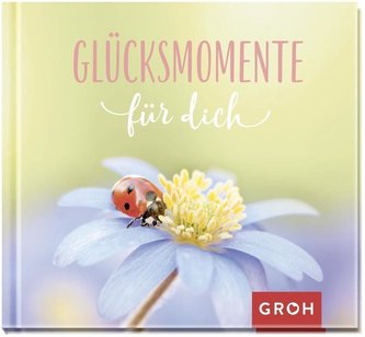 Glücksmomente für dich