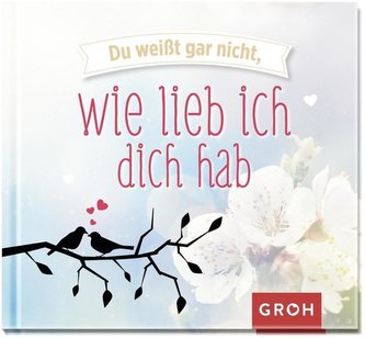 Du weißt gar nicht, wie lieb ich dich hab