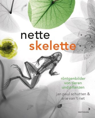 Nette Skelette