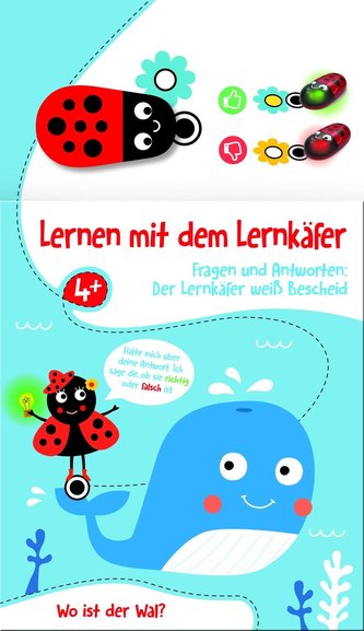 Lernen mit dem Lernkäfer - Wal Lernen mit dem Lernkäfer - Wal