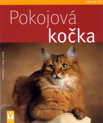 Pokojová kočka