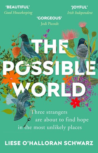 The Possible World