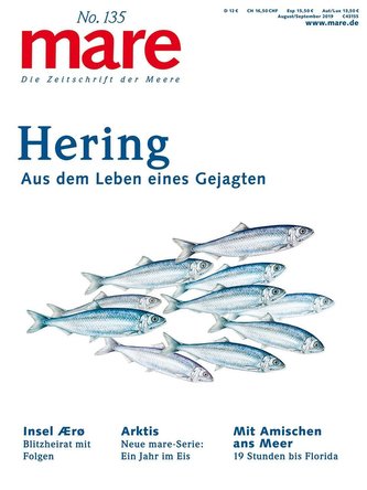 mare No. 135. Hering