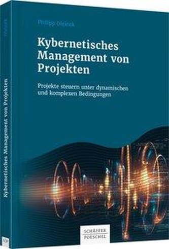 Kybernetisches Management von Projekten