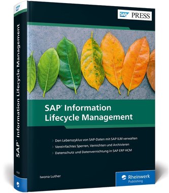 SAP Information Lifecycle Management