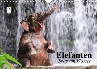Elefanten. Spaß am Wasser (Wandkalender 2021 DIN A4 quer)