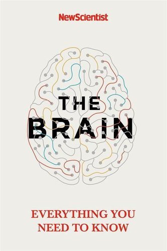 The Brain