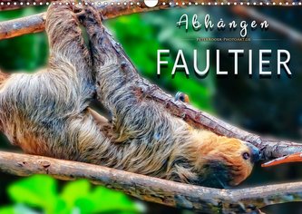 Abhängen - Faultier (Wandkalender 2021 DIN A3 quer)