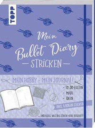 Mein Bullet Diary Stricken