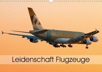 Leidenschaft Flugzeuge (Wandkalender 2021 DIN A3 quer)