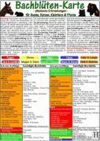 Bachblüten-Karte für Hunde, Katzen, Kleintiere und Pferde. DIN A5