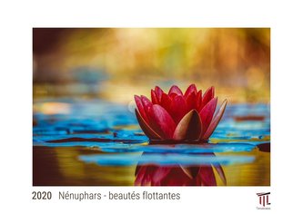 Nénuphars - beautés flottantes 2020 - Édition blanche - Calendrier mural Timokrates, calendrier photo, calendrier photo - DIN A3