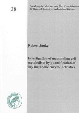Investigation of mammalian cell metabolism by quantification of key metabolic enzyme activities
