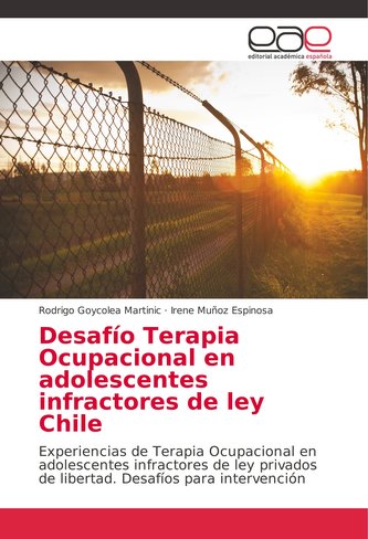 Desafío Terapia Ocupacional en adolescentes infractores de ley Chile
