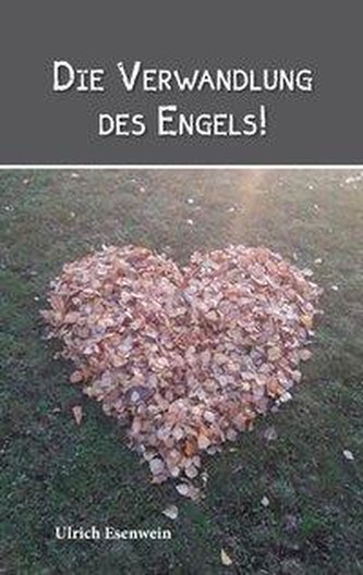 Die Verwandlung des Engels!
